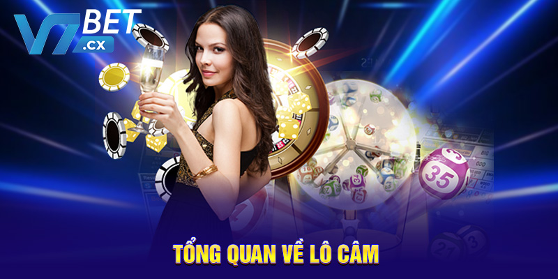 Tổng quan về lô câm 