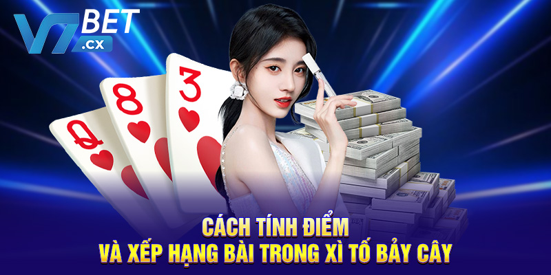 Cách tính điểm và xếp hạng bài trong xì tố bảy cây