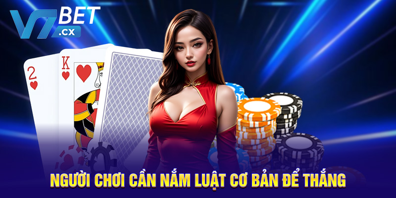 Bài Tấn Là Gì - Bí Mật Khiến Người Chơi Cuốn Hút Lâu Dài